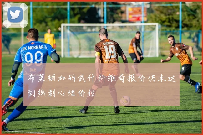 布莱顿加码武什科维奇报价仍未达到热刺心理价位